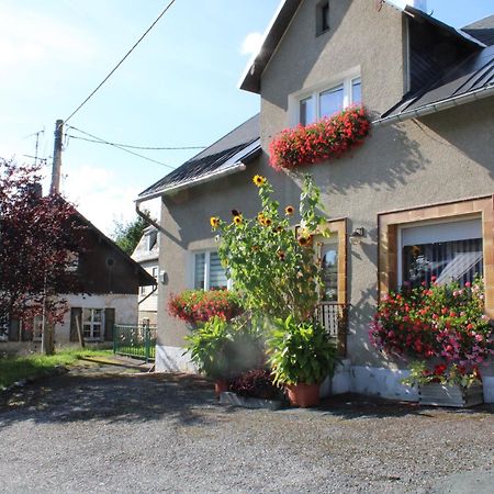 Ferienwohnung Am Muehlbach Klingenthal Luaran gambar