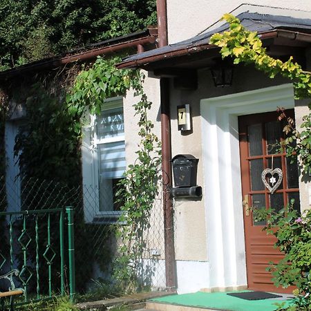 Ferienwohnung Am Muehlbach Klingenthal Luaran gambar