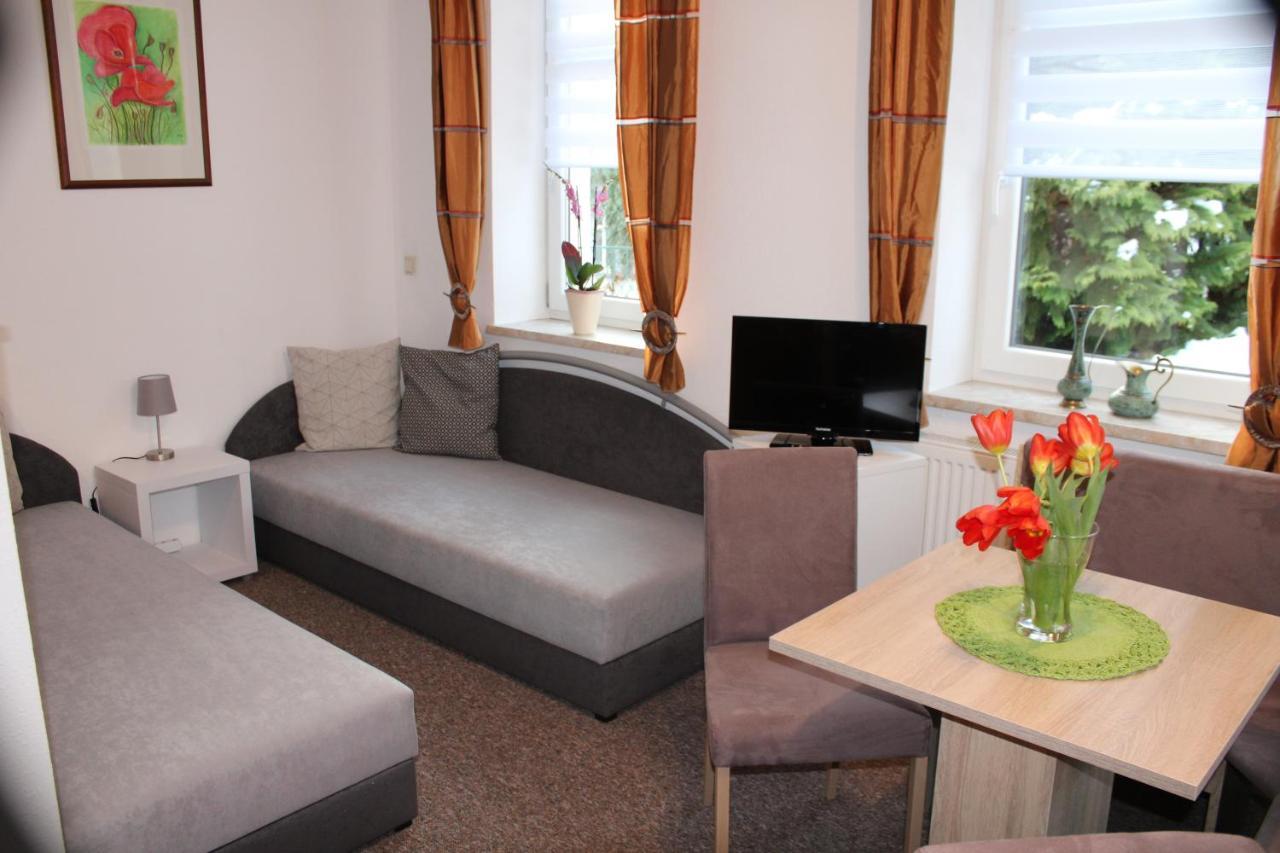 Ferienwohnung Am Muehlbach Klingenthal Luaran gambar