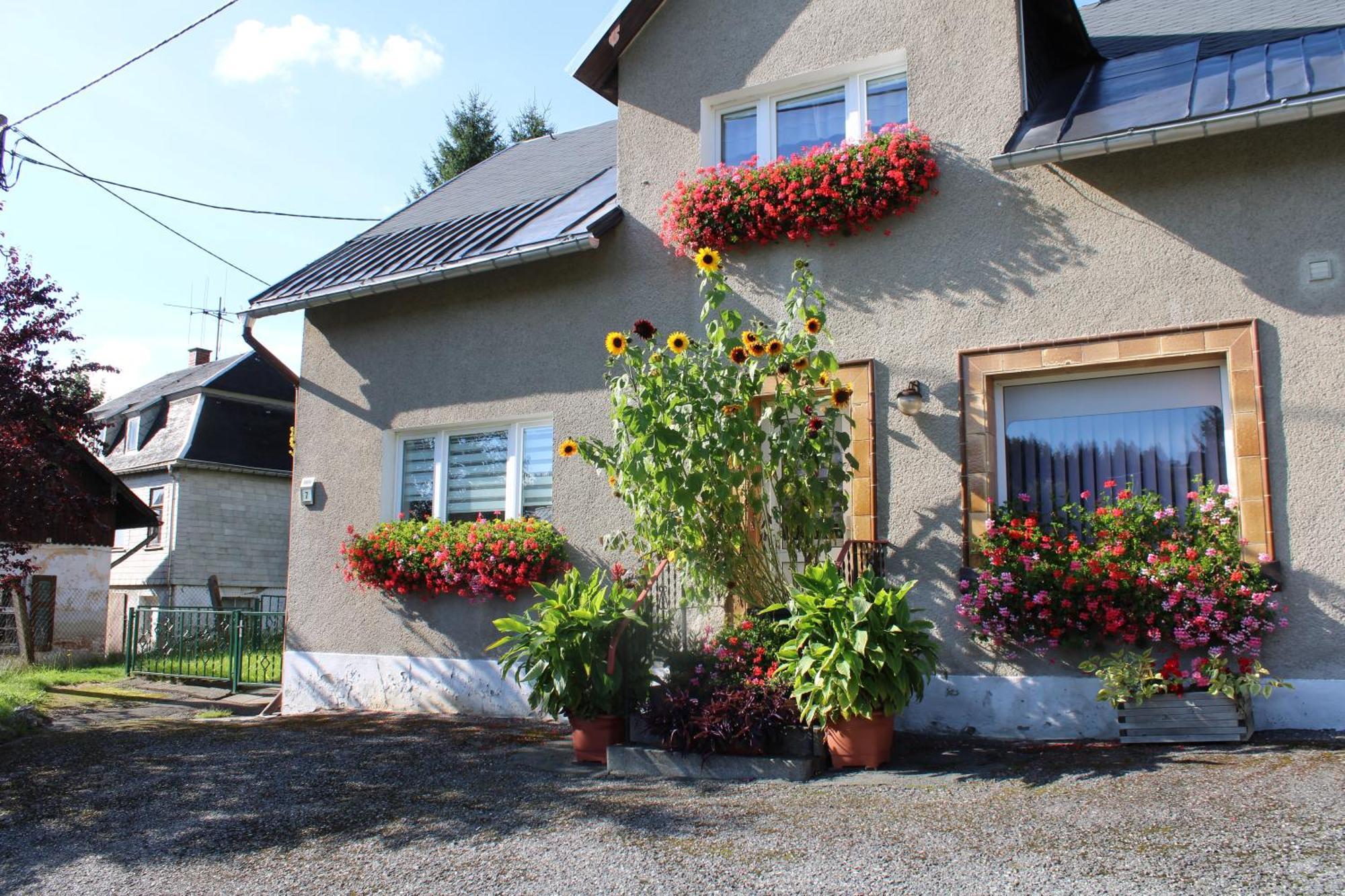 Ferienwohnung Am Muehlbach Klingenthal Luaran gambar